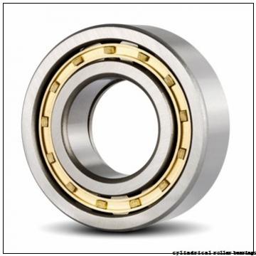 45 mm x 120 mm x 29 mm  NACHI NUP 409 cylindrical roller bearings