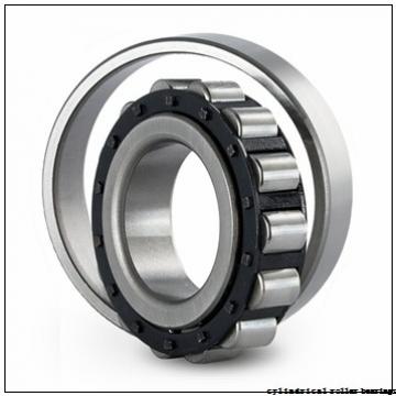 35 mm x 72 mm x 17 mm  SIGMA NU 207 cylindrical roller bearings