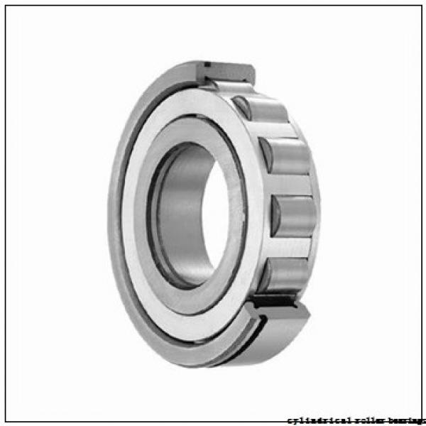 120,000 mm x 215,000 mm x 58,000 mm  SNR NU2224EG15 cylindrical roller bearings #1 image