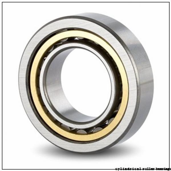 100 mm x 180 mm x 34 mm  ISO NUP220 cylindrical roller bearings #1 image