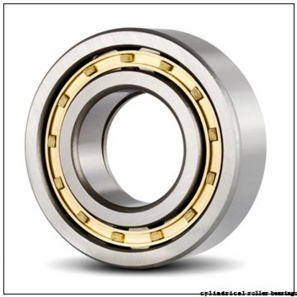 100 mm x 250 mm x 58 mm  FBJ NF420 cylindrical roller bearings #2 image