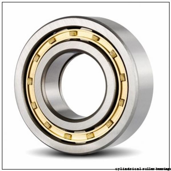 Toyana NU1896 cylindrical roller bearings #1 image